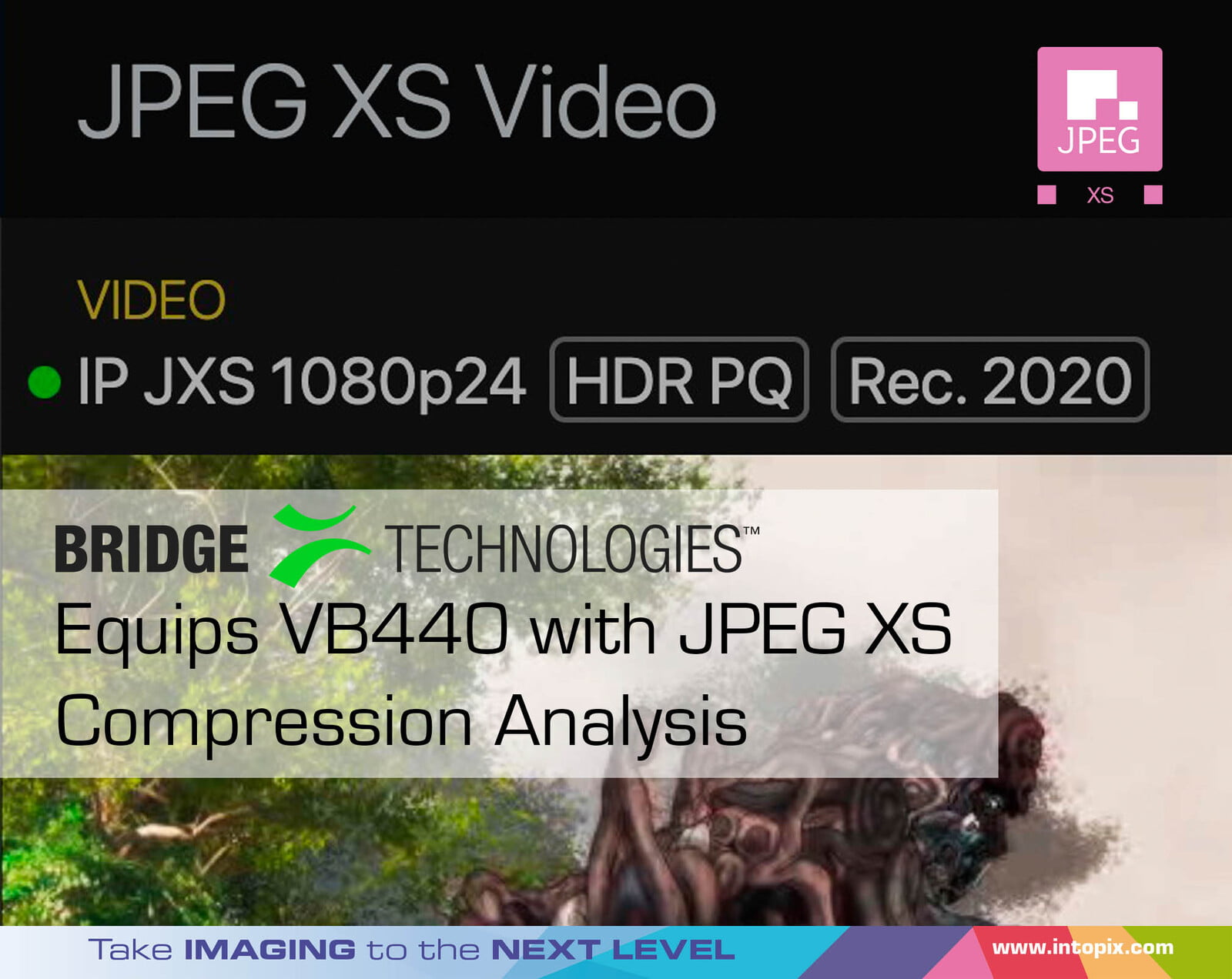 Bridge Technologies, VB440에 JPEG XS 압축 분석 탑재 